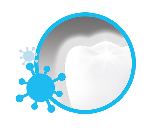 Élimination plus performante des bactéries sur les dents, la langue, les joues et les gencives*