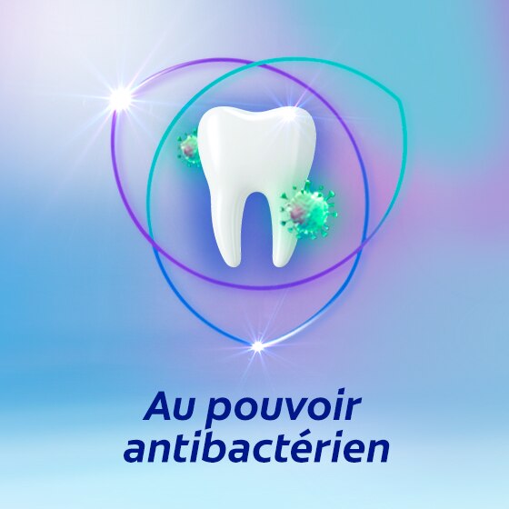 Max Protect Detox
