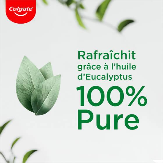 Colgate® Extraits Naturels Bio Blancheur Charbon et Eucalyptus